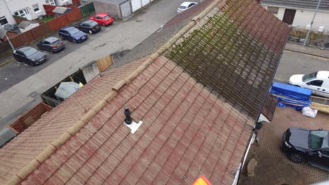 Professional roof cleaning service