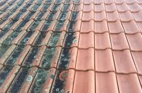 Close-up of roof tiles showing aged green-patina covered tiles on left side and clean terracotta tiles on right side